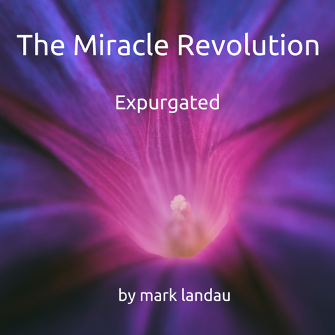 The Miracle Revolution: Expurgated